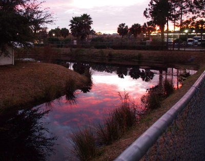 [A fence rail is seen along the right side of the image. An L-shaped pond extends back and to the left. Grassy hillsides lead down to the water in which purple pink clouds are reflected. Nearby trees are also reflected in the water. The brigh, setting sun is seen through tree trunks in the background right of the image.]